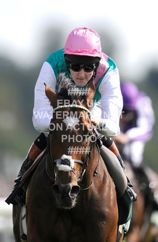 Frankel tom queally - tom,