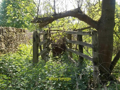 Photo 12x8 cattle crush - photo,