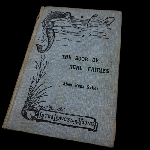 The book real fairies - book,