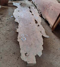 Tree Hunters of Java Longan Wood Slab 255 x 86 x 7cm