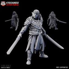 Elf Noble, D&D RPG Fantasy