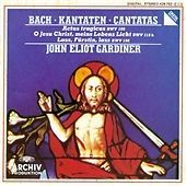 Johann sebastian bach - sebastian,