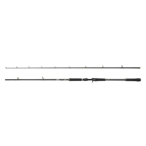 Abu garcia beast casting - casting, rod