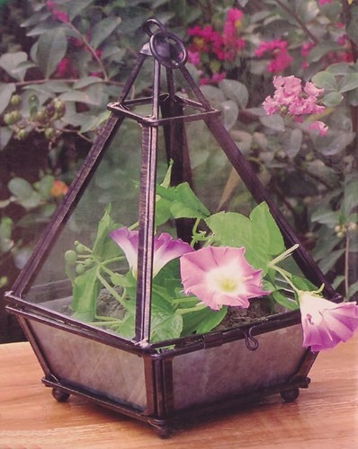 Mini pyramid greenhouse - mini, black