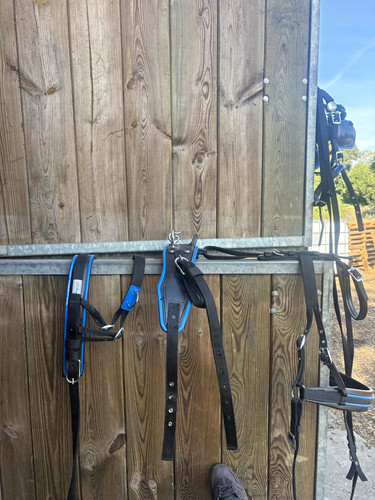 Black blue synthetic driving - &,