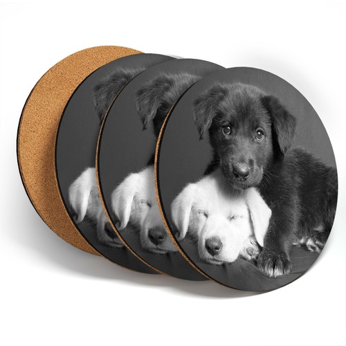 Coasters bw labrador - 4,