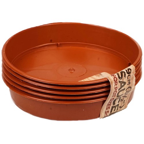 Sankey terracotta plant - x,