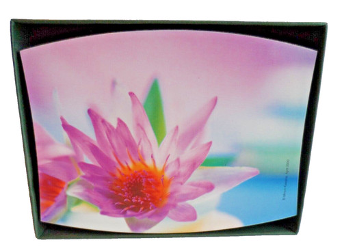 Jason zara coasters floral - zara,