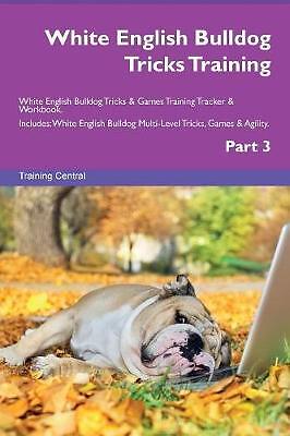 White english bulldog tricks - english,
