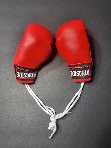 Ringside miniature boxing - miniature,