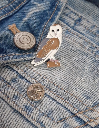 Barn owl bird - owl,