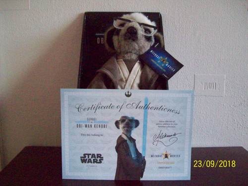 Compare the meerkat sergei - meerkat, as