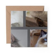 1 x Blank Greeting Card