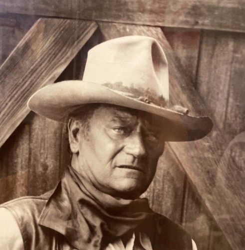 John wayne the cowboys framed - john,