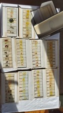 80+ Vintage Prepared Microscope Slides.  J.D.G. Masson. H&E. / C.B Boxed