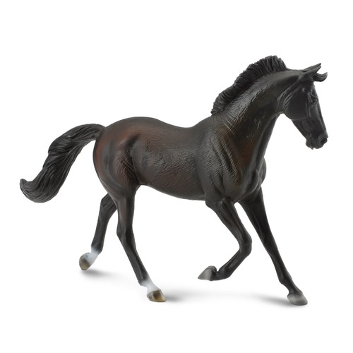 Collecta thoroughbred mare - collecta,