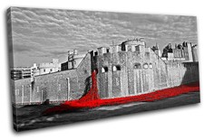 Tower of London Poppies City