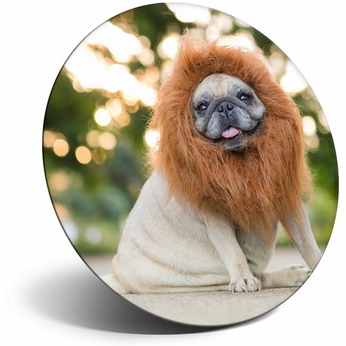 Awesome fridge magnet cute - -,