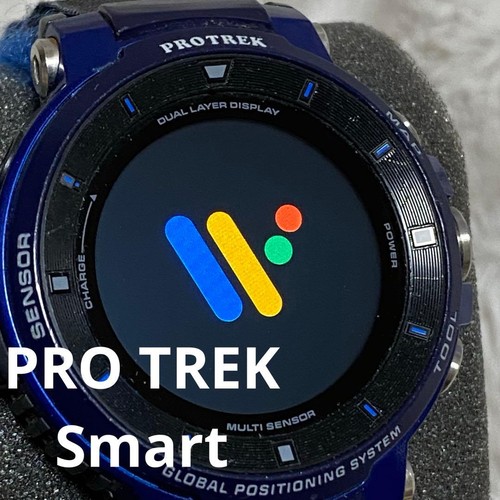 Casio pro trek - pro, wsd-f30