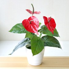 Artificial Faux Plants Tree In