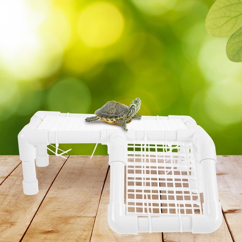 Reptile tank accessories - tank,