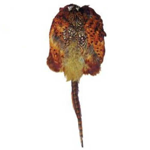 Bisley pheasant skin pelt - pheasant,