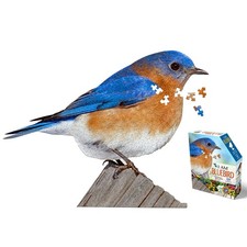 Madd Capp I AM Bluebird 300