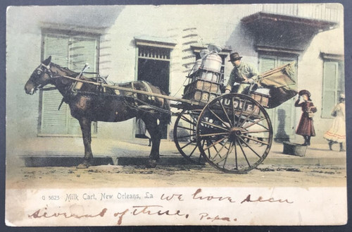 1906 single horse - 1906,