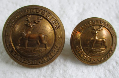 British army bedfordshire - 2x,