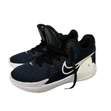 Nike LeBron Witness VI 6 PS