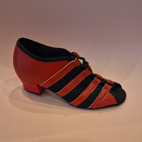 Ballroom and latin shoes dance - and,