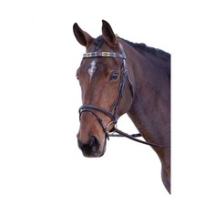 Blenheim Leather Polo Horse Browband  ER195