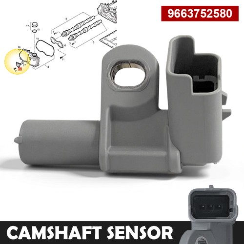 Camshaft position sensor - camshaft,