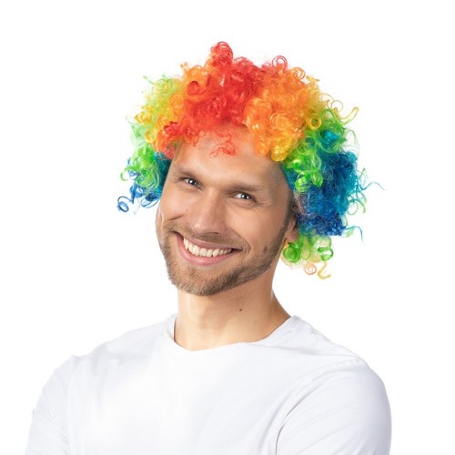 Curly rainbow afro wig fancy - afro,