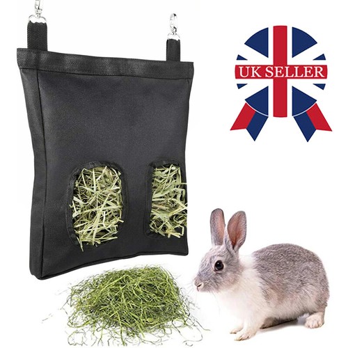 Guinea pig rabbit - guinea, feeder