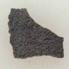 Hadrosaur Egg Shell Fossil -