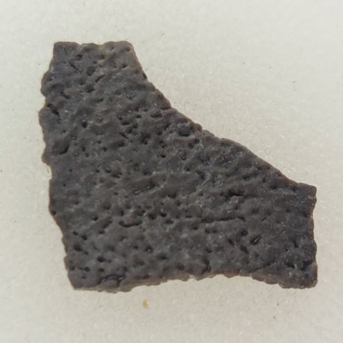 Hadrosaur egg shell fossil - hadrosaur,