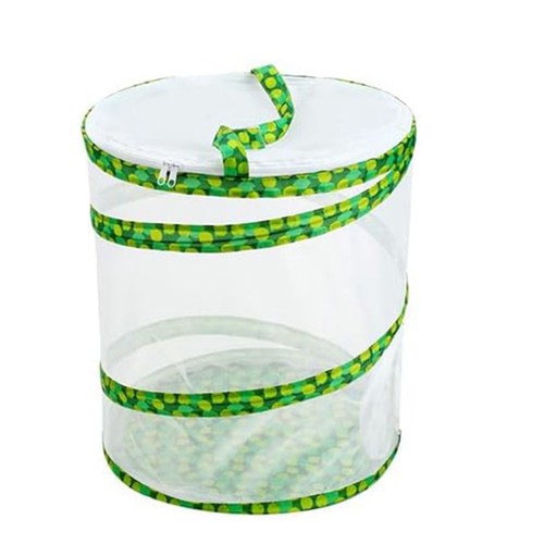Butterfly growing kit - butterfly,