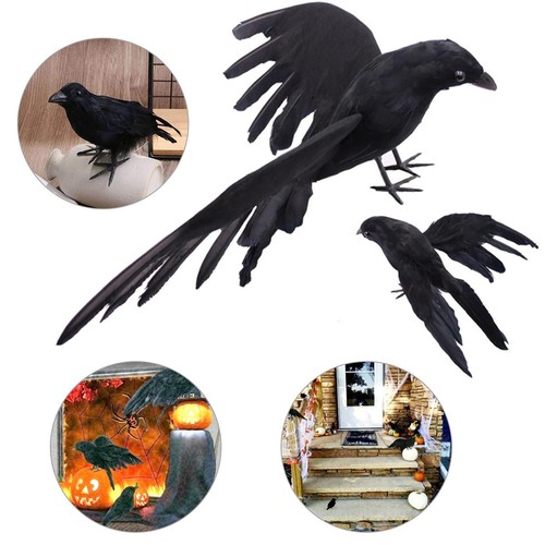 Halloween crow prop black - crow,