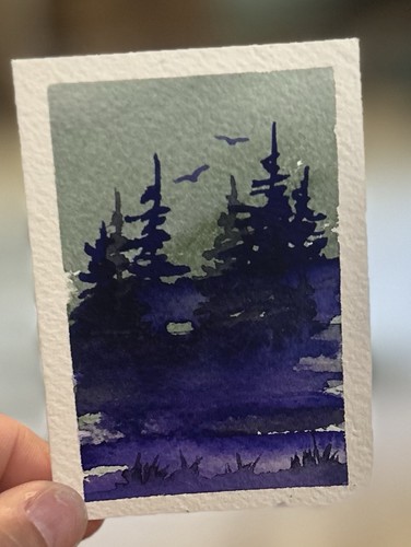 Aceo purple lakeside morn - purple,