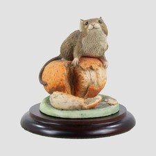 Mouse On Satsuma Border Fine