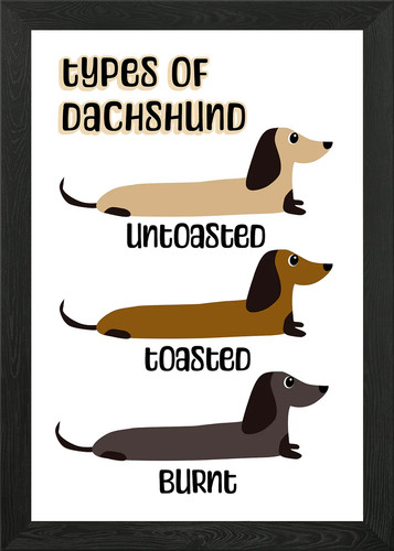 Types dachshund dog framed - dachshund,