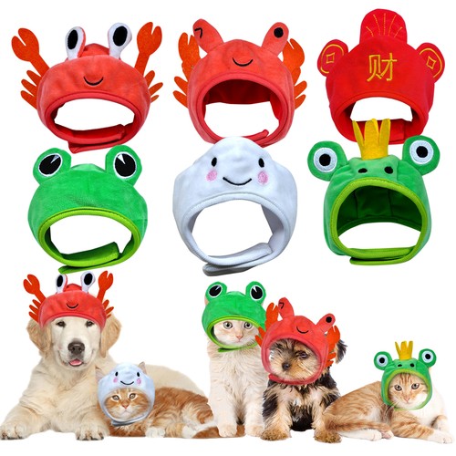 Funny hat for cat - funny,