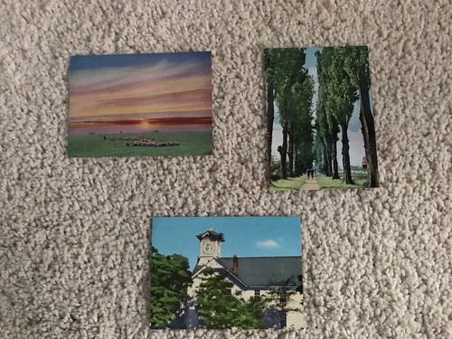 Vintage postcards 1960s - vintage,