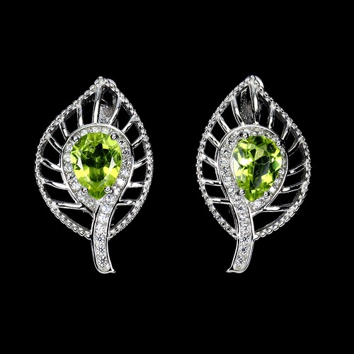 Summer 925 silver earrings - 925,