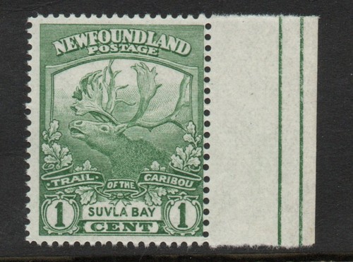 Newfoundland 1919 green sg - newfoundland,