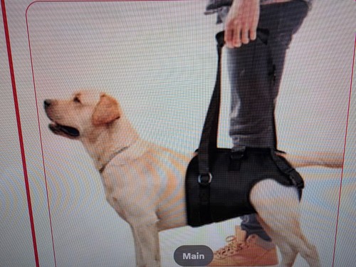 Dog support sling harness for - dog,