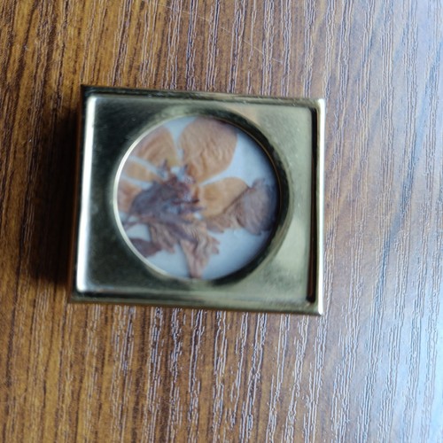 Vintage framed pressed dried - pressed,