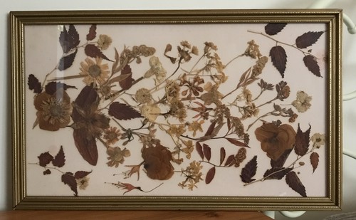 Framed beautiful dried - framed,