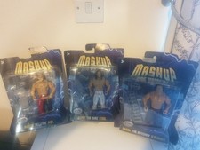 Wwf/wwe Mash Up Ring Warriors